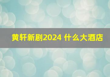 黄轩新剧2024 什么大酒店